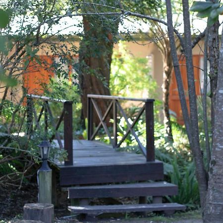 Andelomi Forest Lodge Stormsrivier Kültér fotó