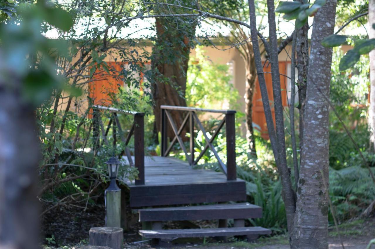 Andelomi Forest Lodge Stormsrivier Kültér fotó