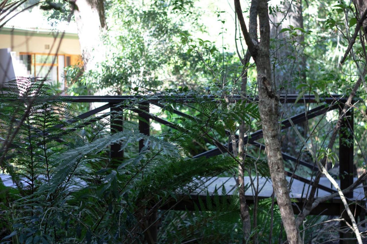 Andelomi Forest Lodge Stormsrivier Kültér fotó