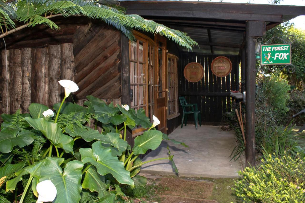 Andelomi Forest Lodge Stormsrivier Kültér fotó