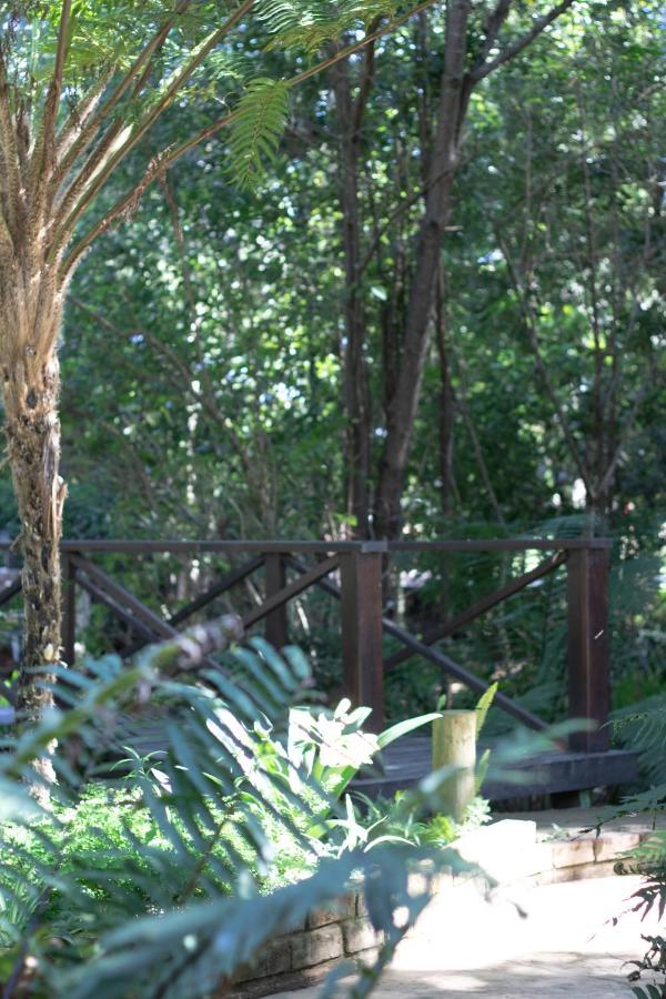 Andelomi Forest Lodge Stormsrivier Kültér fotó