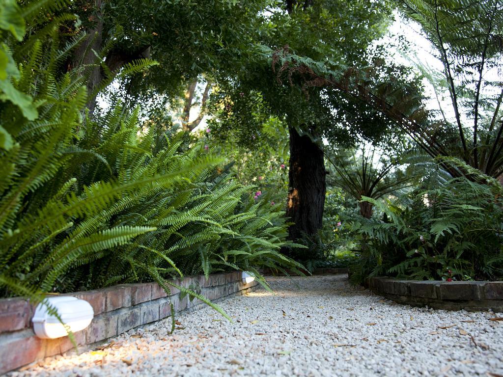 Andelomi Forest Lodge Stormsrivier Kültér fotó