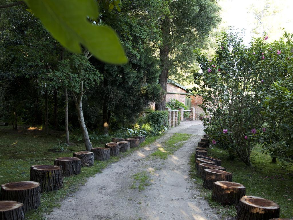 Andelomi Forest Lodge Stormsrivier Kültér fotó