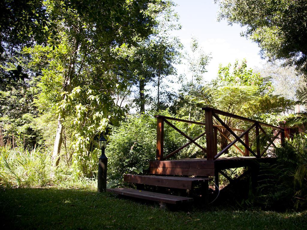 Andelomi Forest Lodge Stormsrivier Kültér fotó