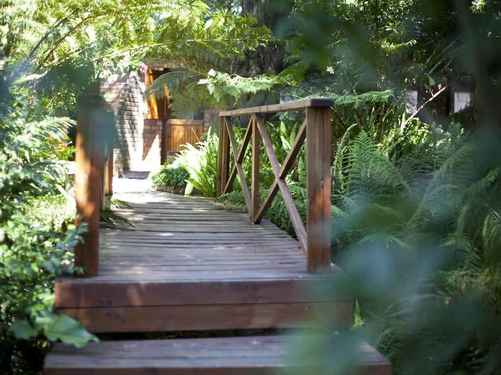 Andelomi Forest Lodge Stormsrivier Kültér fotó
