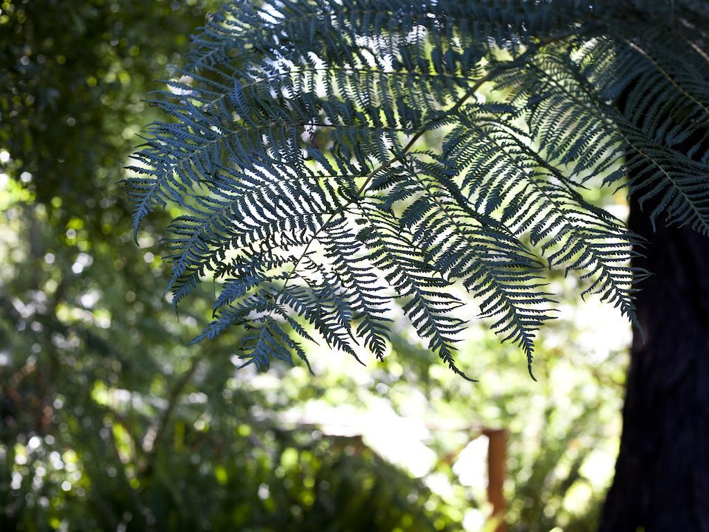 Andelomi Forest Lodge Stormsrivier Kültér fotó