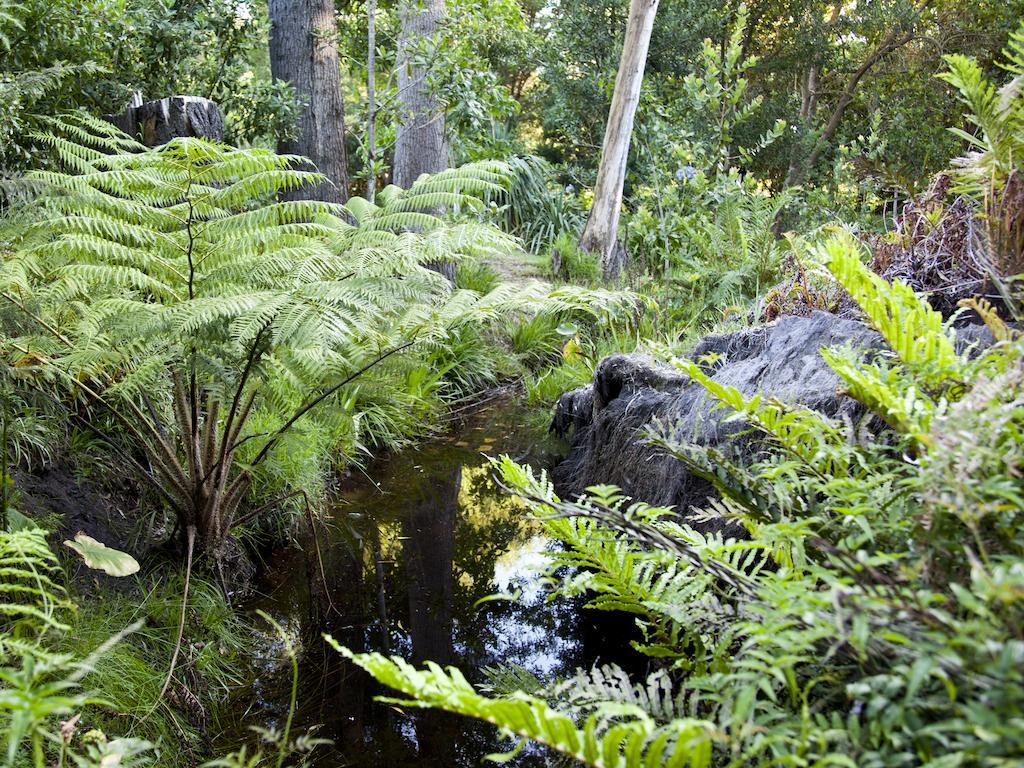 Andelomi Forest Lodge Stormsrivier Kültér fotó
