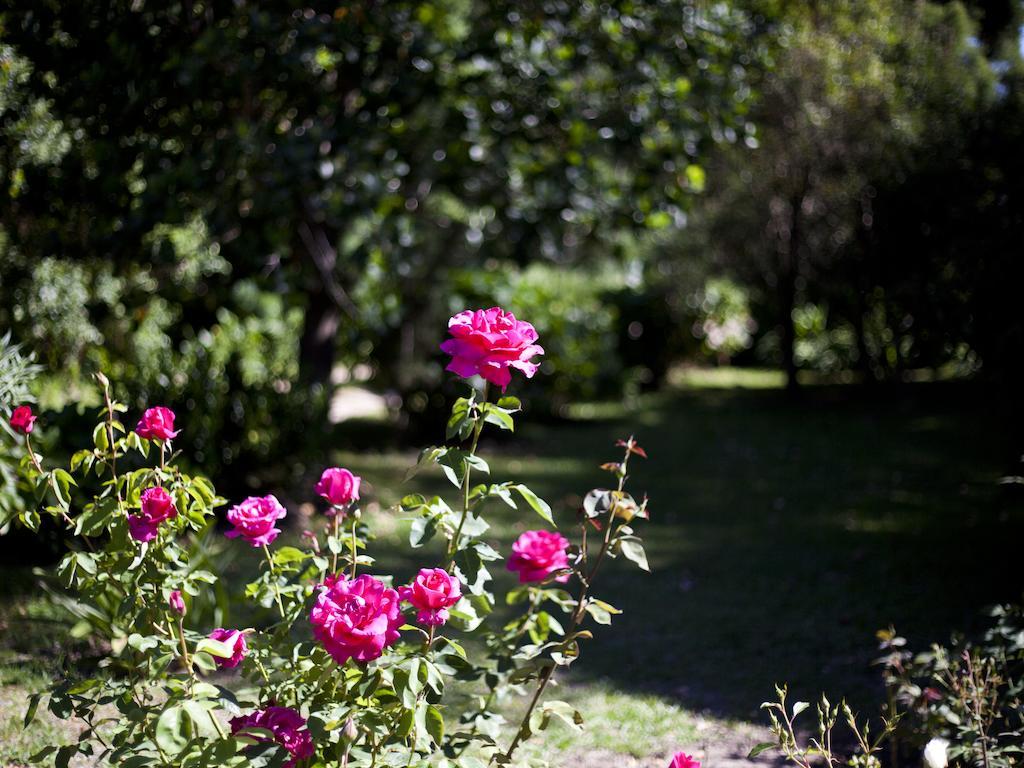 Andelomi Forest Lodge Stormsrivier Kültér fotó