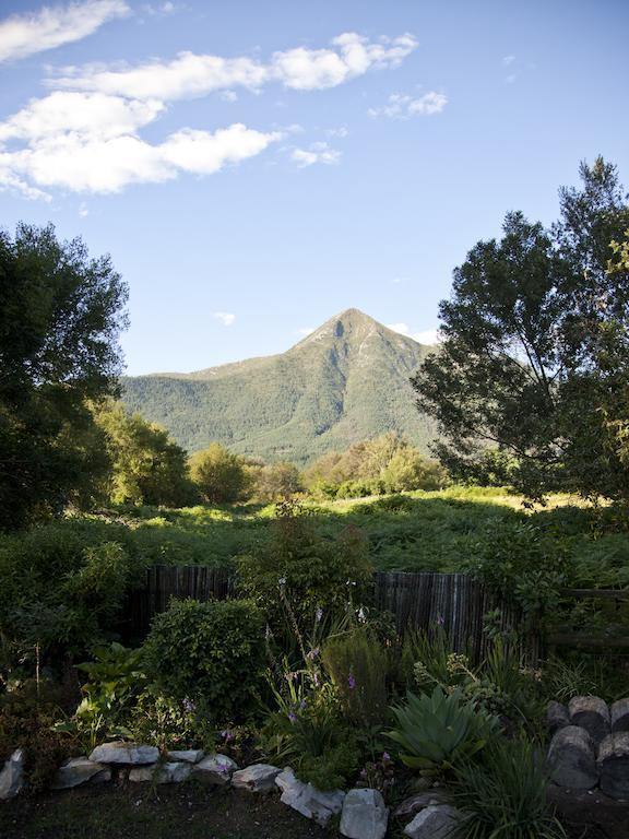 Andelomi Forest Lodge Stormsrivier Kültér fotó